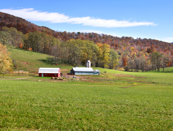 Mineral Rights Buyer - West Virginia - Sell Your Minerals
